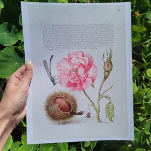 Botanical Art Print with Pink Flower
